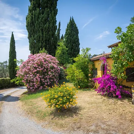 Rosa By Interhome Apartment *