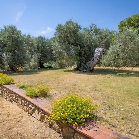 Rosa By Interhome * Venturina Terme